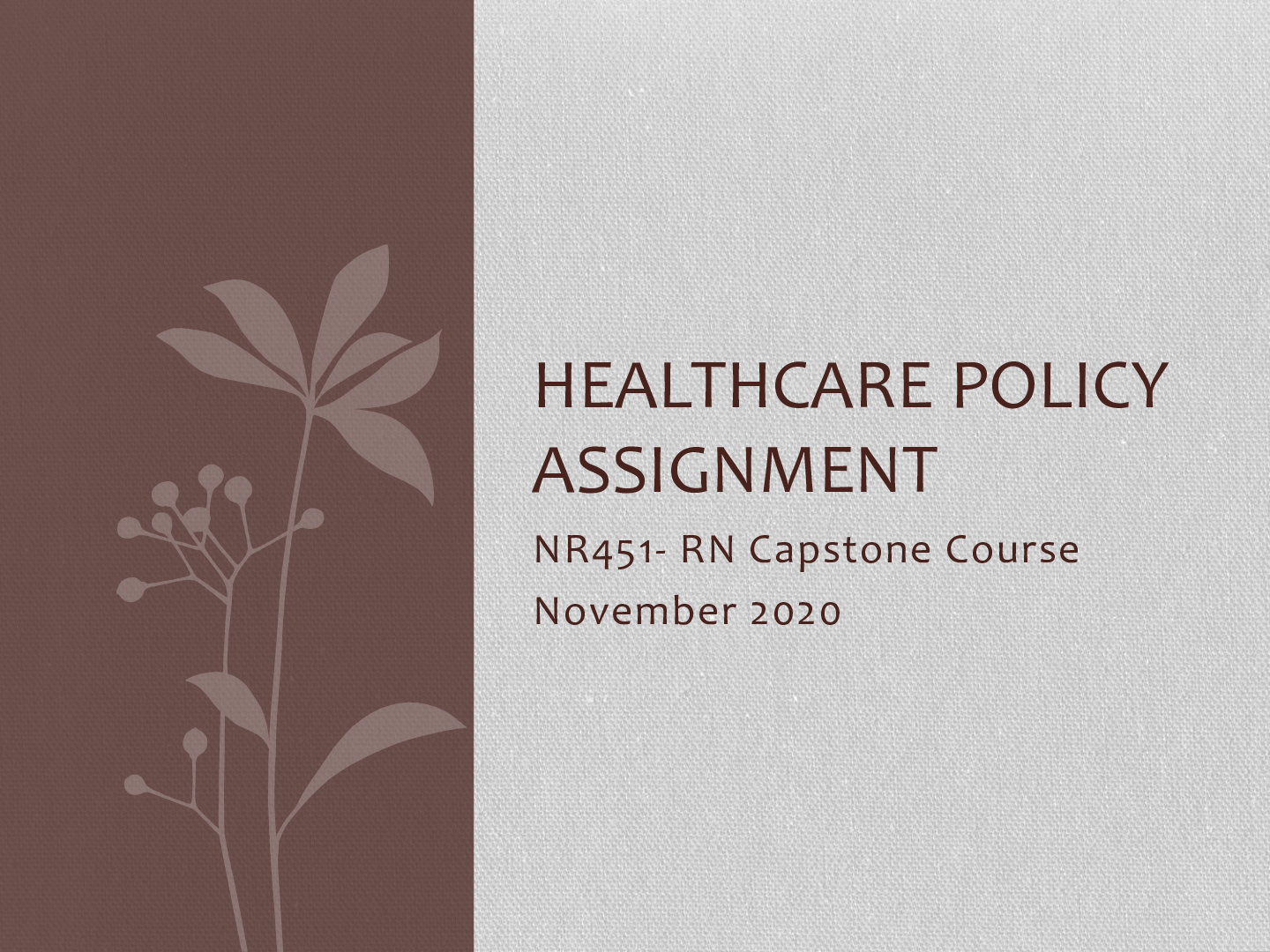 Preview image of NR 451 - RN Capstone Course HEALTHCARE POLICY ASSIGNMENT document